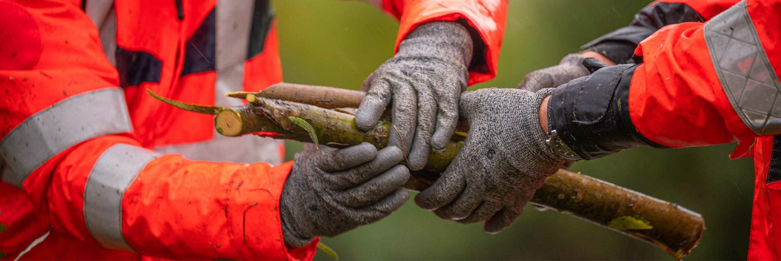 Bouts de bois qu'une personne tend à une autre | Equo Vivo - Nos valeurs