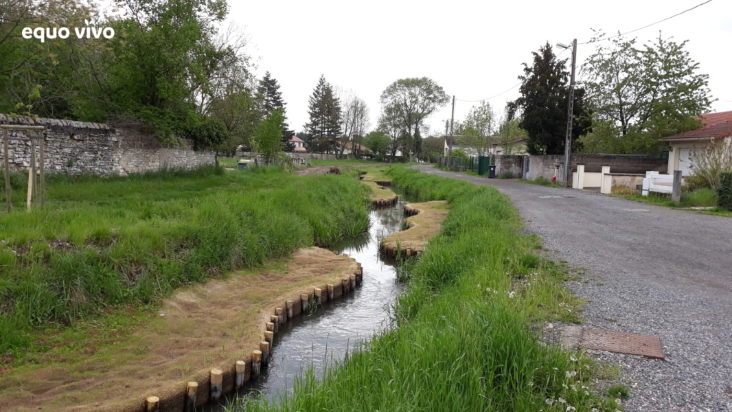 Cours d'eau entouré d'herbe, avec une route sur le côté | Equo Vivo - Nous connaître