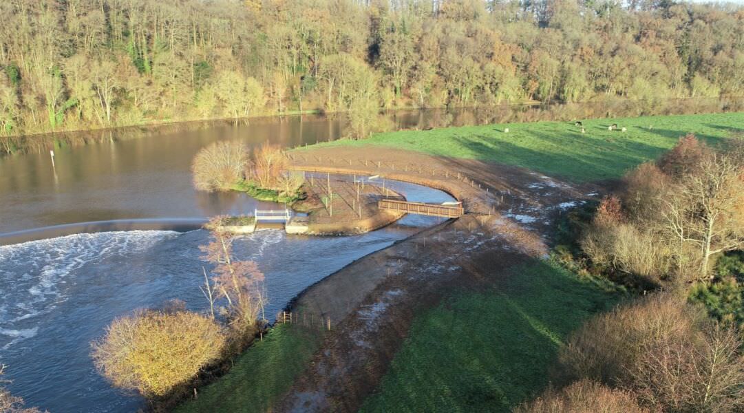 Cours d'eau entouré de végétation | Equo Vivo - Page d'accueil