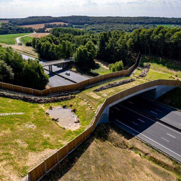 Vue aérienne par drone d'un pont recouvert de végétation au-dessus d'une route | Equo Vivo - Continuité écologique